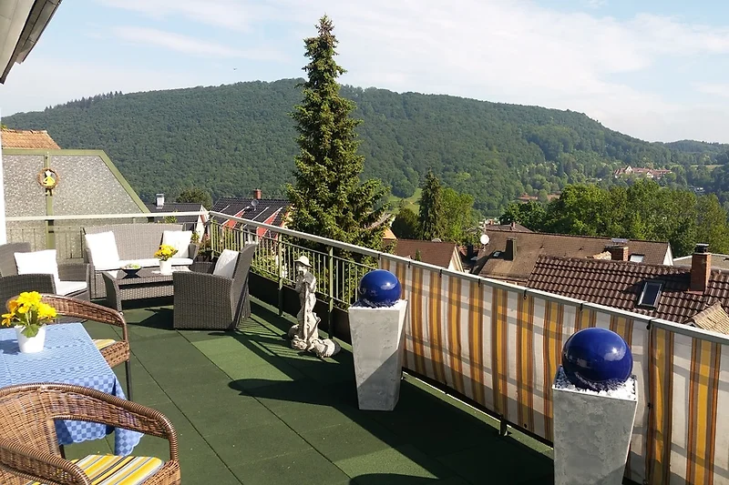Terras met uitzicht op de Römerberg