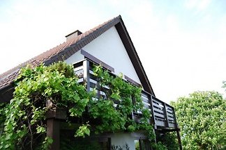 oasis de vacances Wachtberg