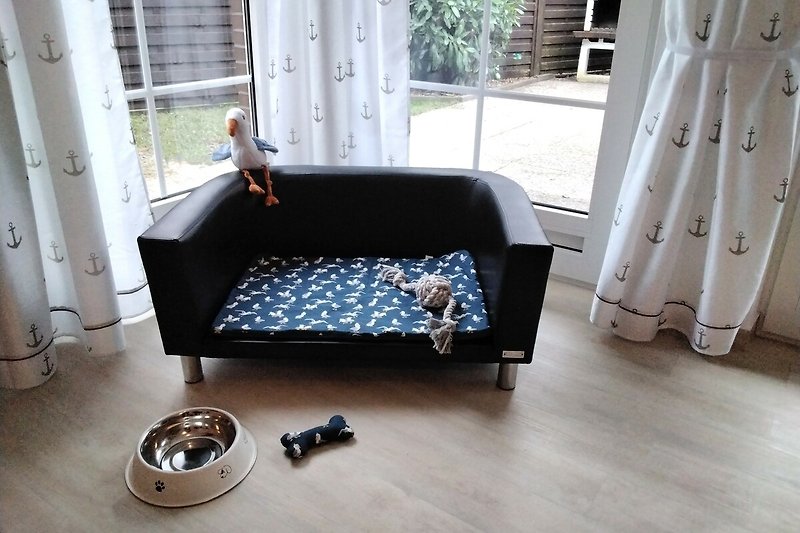 Helles gemütliches Wohnzimmer mit neuem Vinylboden und bequemer Hunde-Couch.