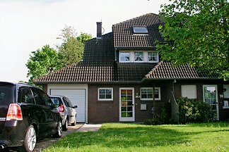 Möwe 20
