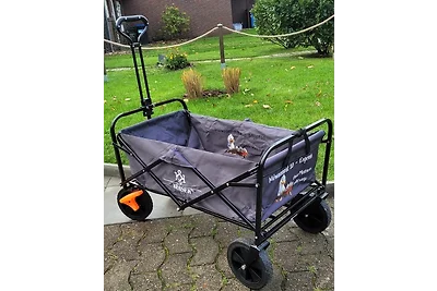 Frisch renoviertes Möwennest-20