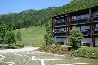 Walchsee/Hasewinkel