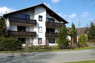 Winterberg/Züschen/Hasewinkel