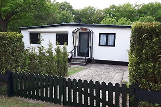 Uelsen/Hasewinkel