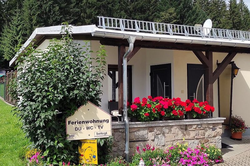 Vorderansicht mit Eingangstür und Terrasse