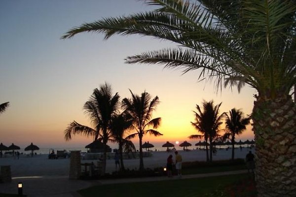 <span style="font-size:smaller;">Azienda MyFlorida24.com / USA</span><br> Sig. J. Lemeier <span style="font-size:smaller;">Azienda MyFlorida24.com / USA</span><br> Sig. J. Lemeier