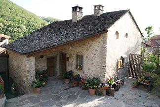 La Bedina
