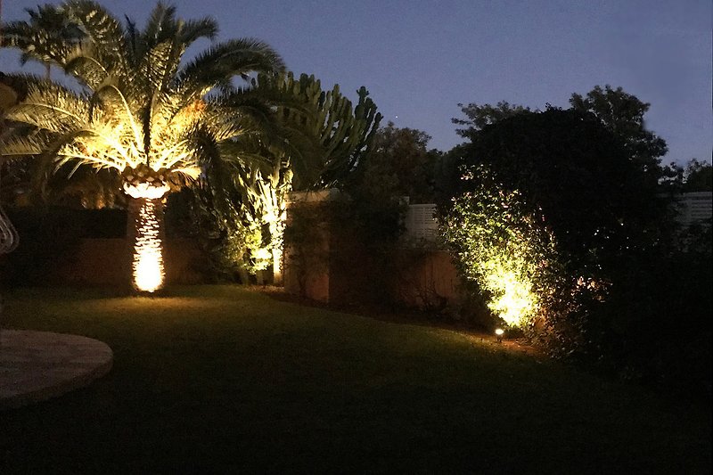 De tuin bij nacht