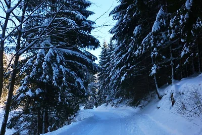 Appartamento Vacanza con famiglia Winterberg