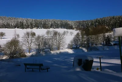Appartamento Vacanza con famiglia Winterberg