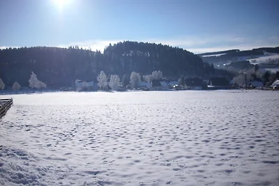 Appartamento Vacanza con famiglia Winterberg