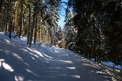 Appartamento Vacanza con famiglia Winterberg