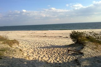 Südstrand Meerblick,SchwimmbadSauna