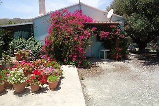 Apartament Gloria Morning Cottage
