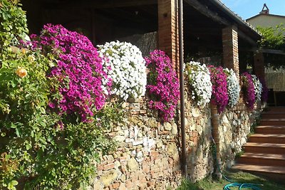 Casa Liliana