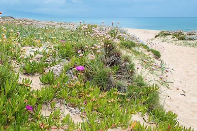 FeWo Solevacanze Typ M plus am Meer