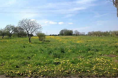 Haus Kastan 1+2 bis zu 12 Personen