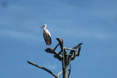Haus Kastan 1+2 bis zu 12 Personen