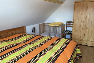 Ferienhaus Seestern, Seehund