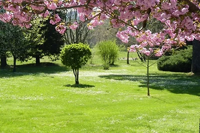 Mas de Broceliande