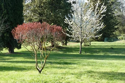 Mas de Broceliande