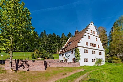 Casa padronale nella tenuta di Bärenschlössle