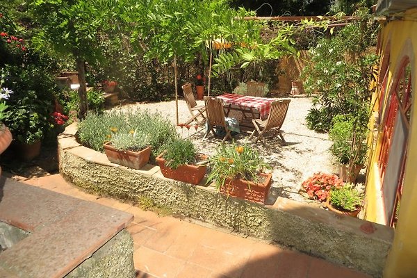 Der lauschige Garten lädt zum faulenzen ein....... Der lauschige Garten lädt zum faulenzen ein.......