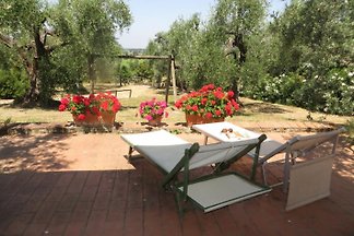 Casa Oliviera