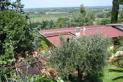 Casa Gialla