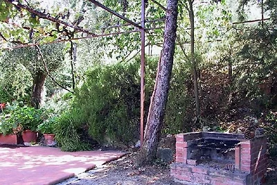 Casa Gialla