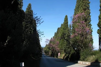 Casa Gialla