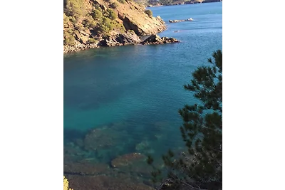 Ferienapartrment in Requesens