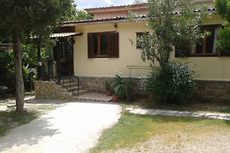 Scorpion Villa II