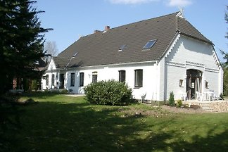 Heidetenne