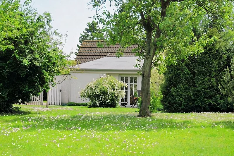 Uitzicht vanuit de tuin