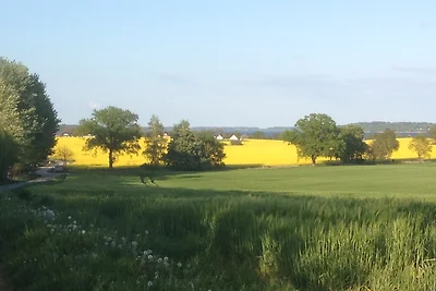 Urlaub mit Hund eingezäunter Garten