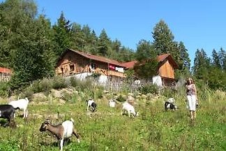 Museumshütte