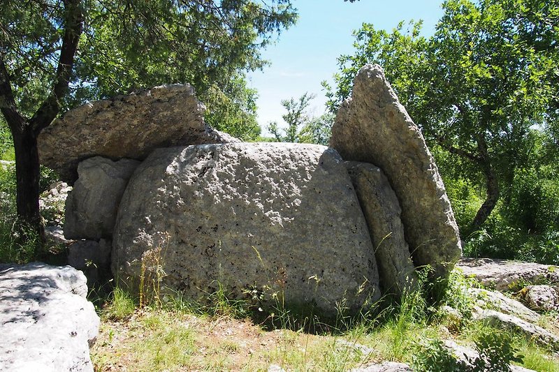 Un des 14 dolmens du Ranc de Figère