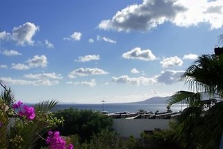 Appartement Tropicana