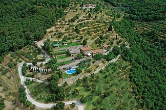FARM COL DI LECCIO