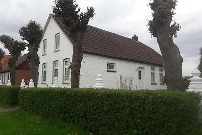 FerienhausAufmDeich 1