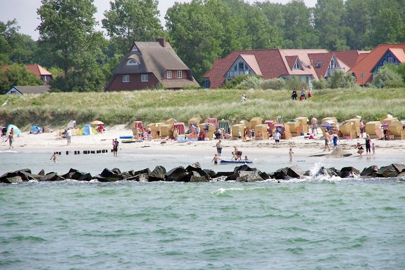 Wustrow-strand in de zomer