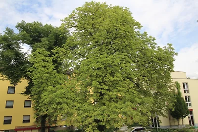 Appartement Hibiskus