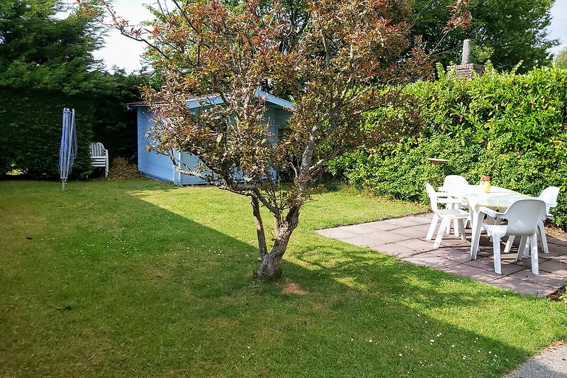 Grüner Garten mit gepflegtem Rasen und üppigen Sträuchern.