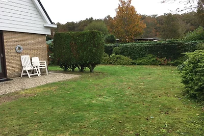 Casa vacanze Vacanza di relax Renesse