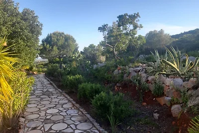 Casa Foupana
