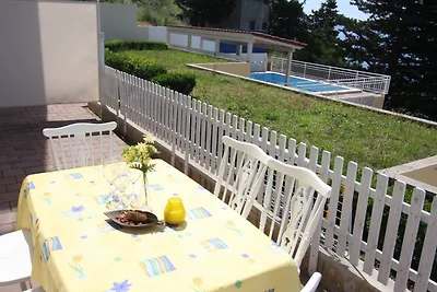 ----- ------ AMBIENTE