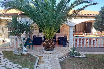 *** + ARTAMBIENTE *** +
