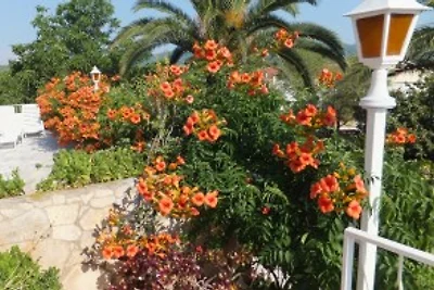 Apartmenthaus Villa Möwe