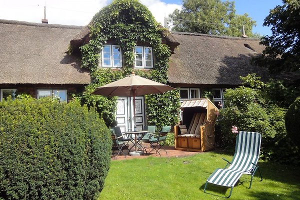 Ferienhaus mit Garten Ferienhaus mit Garten